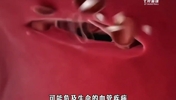 血栓痊愈后到少林寺修行 文班亚马仿佛打通了任督二脉！