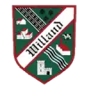 威尔连德流浪